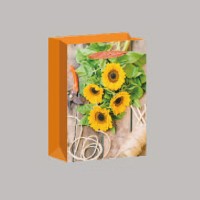 China hot sale sunflower gift bag shopping bag with handlewholesale